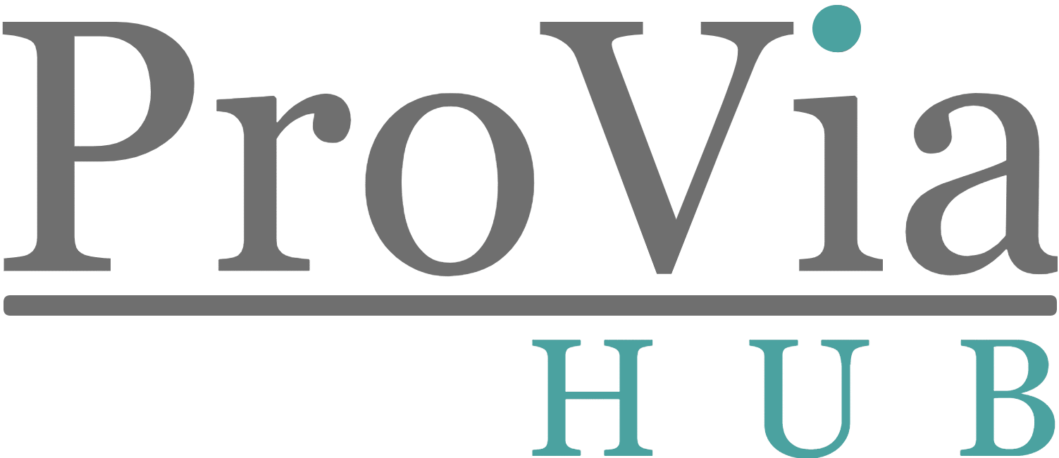 ProVia Hub – Execution-Led Tech for Startups
